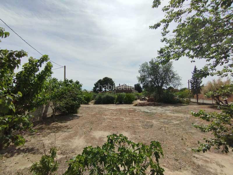 Foto 8a17ee68-2eea-402f-a5ef-20c117681fd1. Terreno residencial en Nuez de Ebro