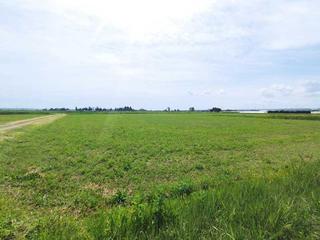 Rural plot in Polígono 65 parcela 105 torre val del. zaragoza (zaragoza) 65