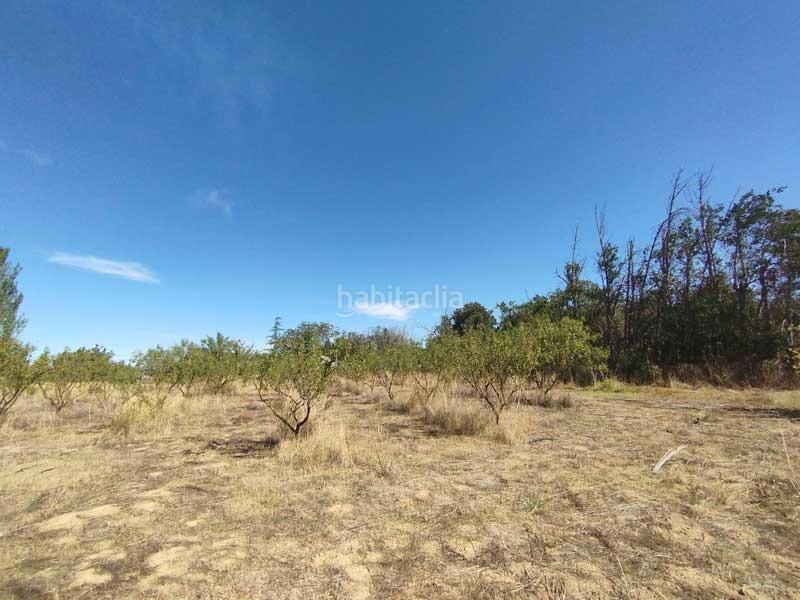 Foto d2dce9e8-97e7-4f85-99c1-9b7f0d4f8658. Casale con parcheggio in Peñaflor Zaragoza