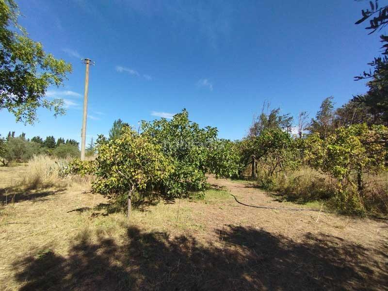 Foto 03bebfc2-46fd-4f44-b7ac-6d0231b6b059. Country house with parking in Peñaflor Zaragoza