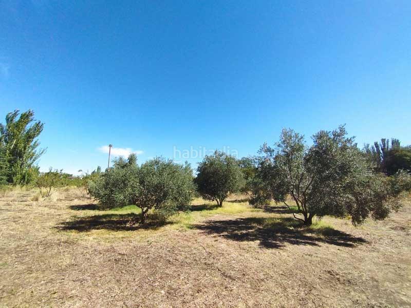 Foto 2d975ae2-3dd0-460d-9e83-1aa5ad01d635. Country house with parking in Peñaflor Zaragoza