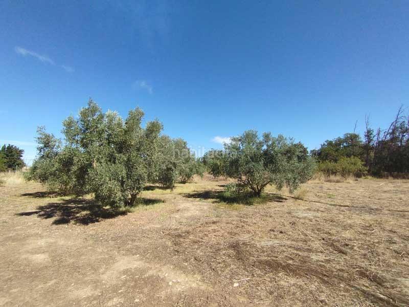 Foto 67819067-80c5-437d-85d9-637907c07adb. Country house with parking in Peñaflor Zaragoza