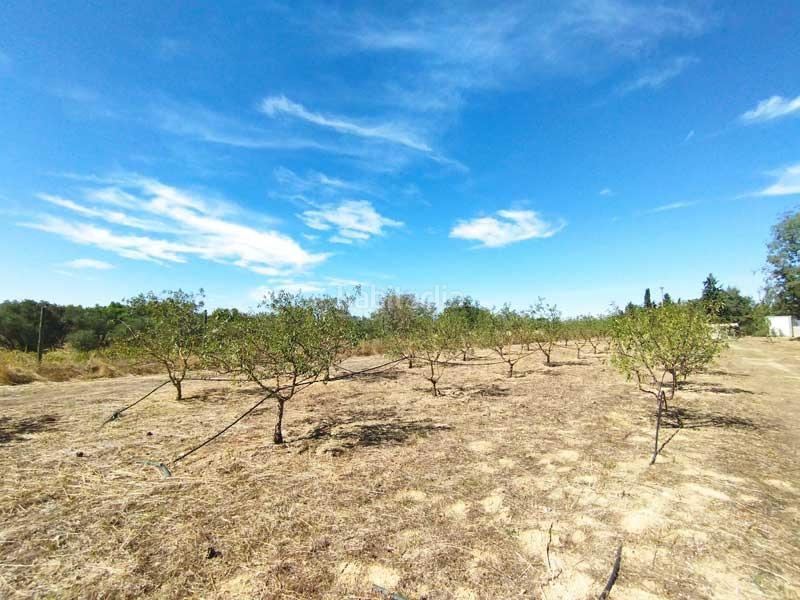 Foto 6b25c34c-850d-418b-85d3-476e8f0e770e. Masia amb aparcament a Peñaflor Zaragoza