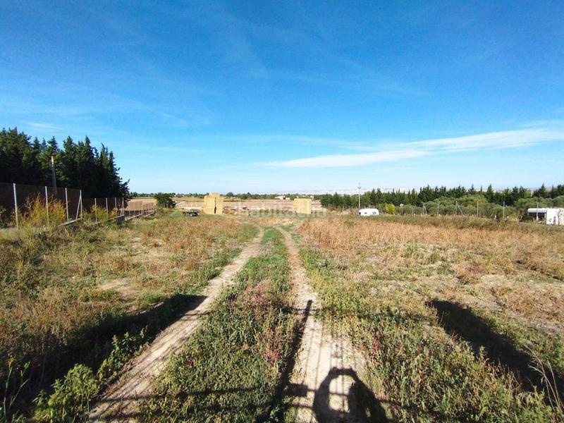 Foto 176c63d0-58ea-4e2b-80e2-2e43c01bd460. Finca rústica a Venta del Olivar Zaragoza