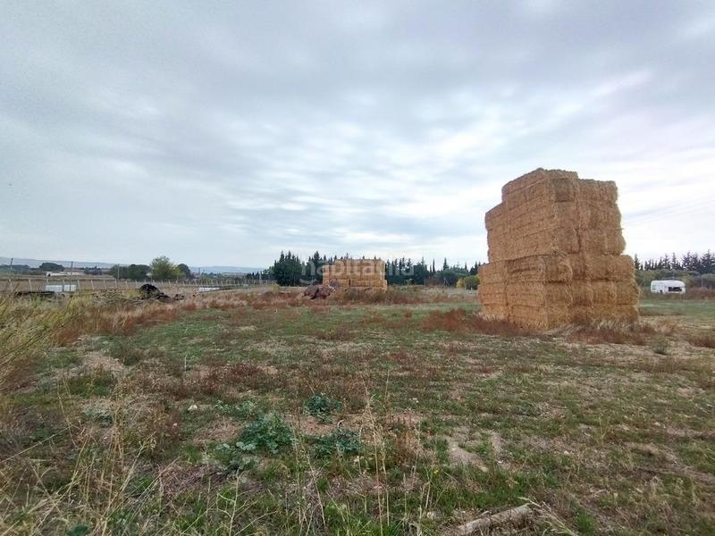 Foto 94337215-8710-46e1-8b79-c47a0e97d022. Finca rústica a Venta del Olivar Zaragoza
