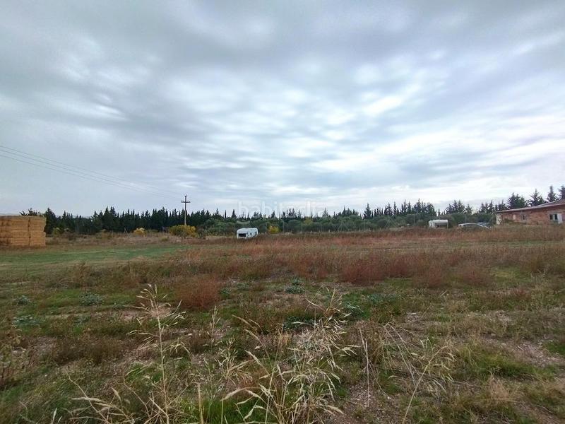 Foto 98af67a8-6892-4289-a60a-34b43ee726ba. Finca rústica a Venta del Olivar Zaragoza