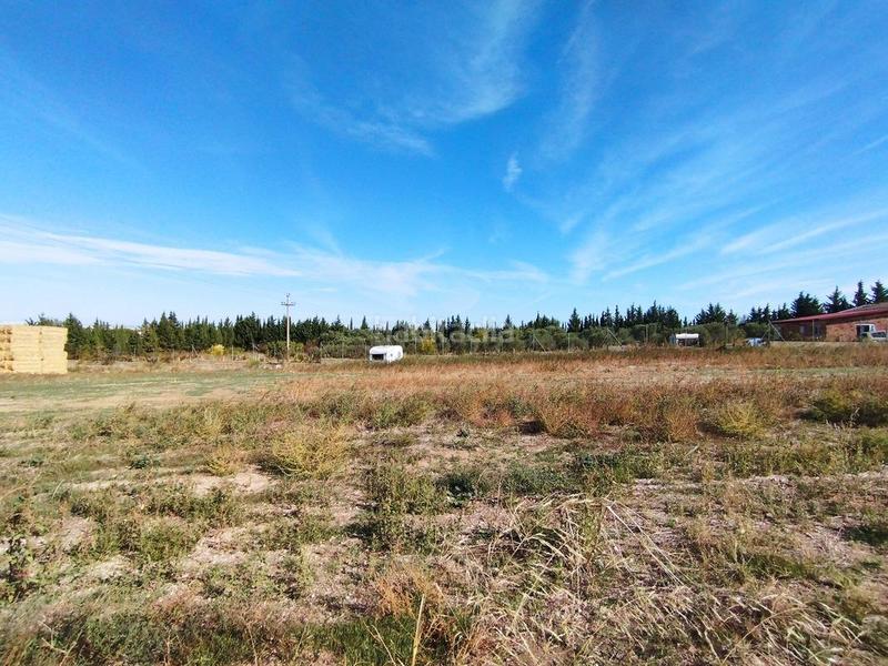 Foto d0a7fe91-6910-44a3-afe8-4a54d1a1e85a. Finca rústica a Venta del Olivar Zaragoza