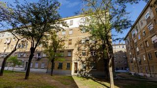 Pis  Grupo maría andrea casamayor