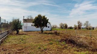 Mas�a en San Mateo de G�llego