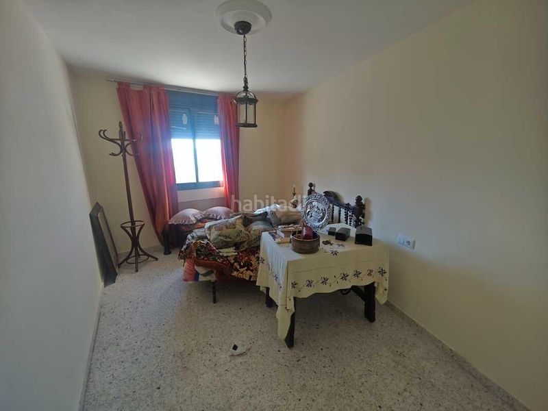 Foto 08adf609-17e6-4406-853e-3791fff8ec96. Pis a Deza