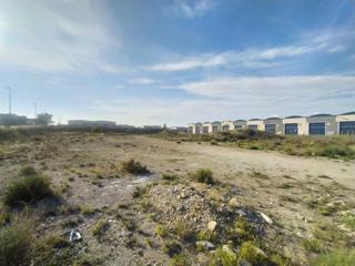 Residential Plot  Calle ajedrea crt