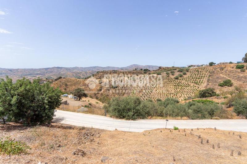 Foto aca545dd-e1c3-4d34-9a23-93a75730c745. Masía casa rural en venta en vélezmálaga en Norte - Barrio del Pilar - El Reñidero Vélez - Málaga