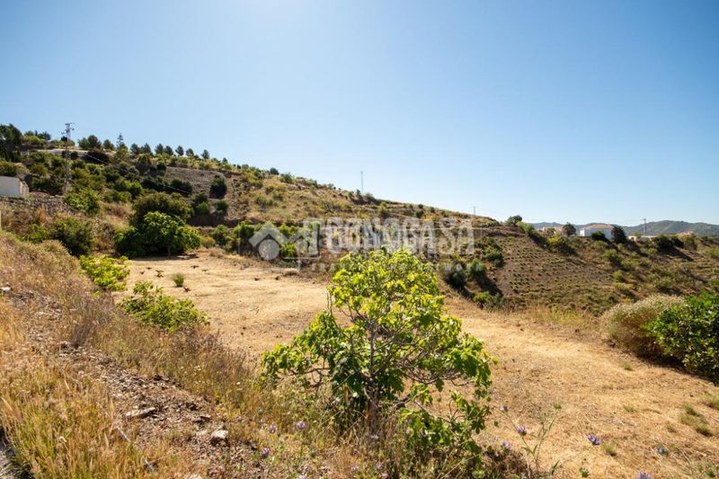 Foto dbba16f0-52bb-49bd-ad12-414b6a932e66. Masia a Canillas de Aceituno