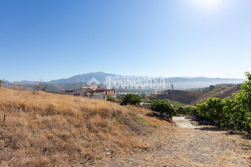 Foto 380234a6-41d0-4a75-8409-d324556f0e10. Finca rústica a Norte - Barrio del Pilar - El Reñidero Vélez - Málaga