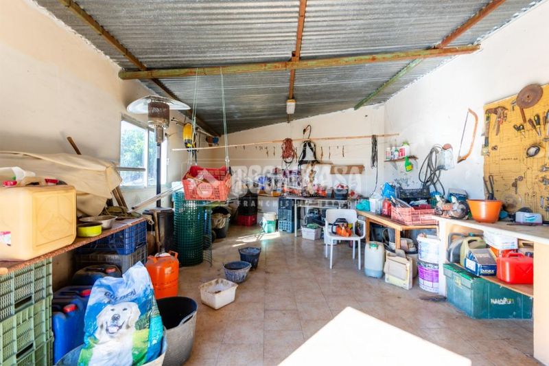 Foto 6a3e9f55-c430-4072-8218-c8dd10e8ba29. Finca rústica a Norte - Barrio del Pilar - El Reñidero Vélez - Málaga