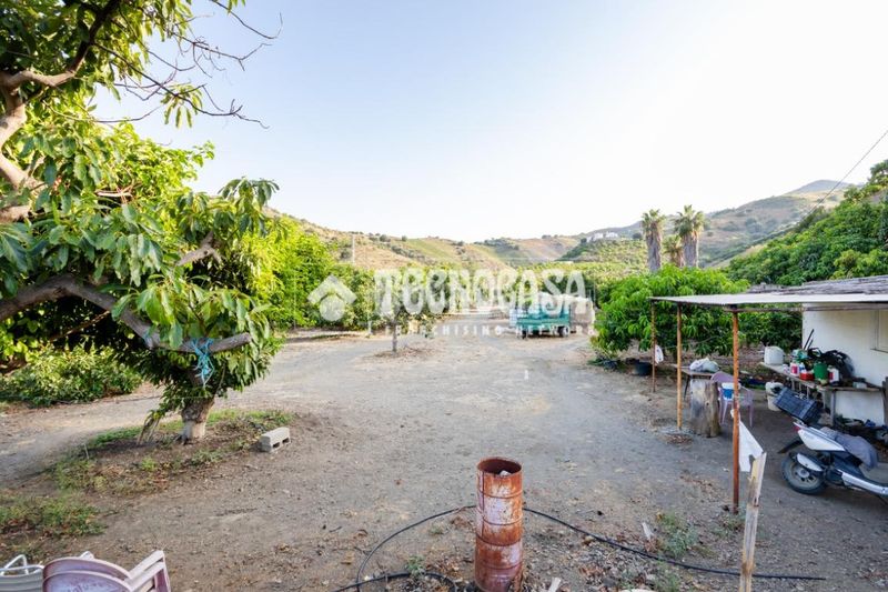 Foto 6ba653e1-c8fa-46b0-b15e-be3661aa51e6. Finca rústica a Norte - Barrio del Pilar - El Reñidero Vélez - Málaga