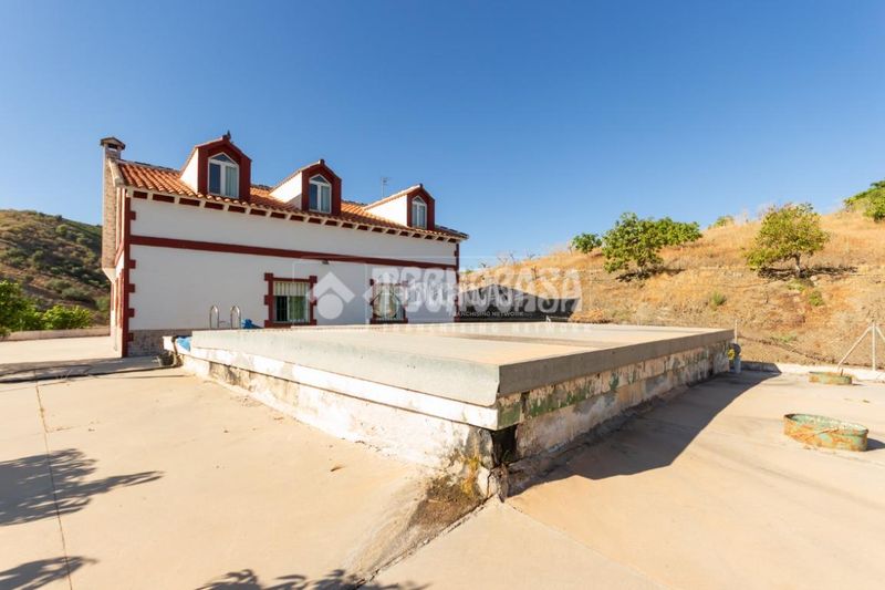 Foto 790253d0-a8f3-4cf0-8bbb-ba9c13b85236. Finca rústica a Norte - Barrio del Pilar - El Reñidero Vélez - Málaga