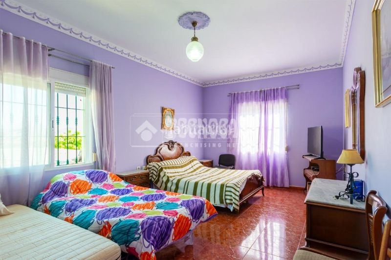 Foto 7f91d809-4ace-411a-8fc9-2889279def4d. Finca rústica a Norte - Barrio del Pilar - El Reñidero Vélez - Málaga
