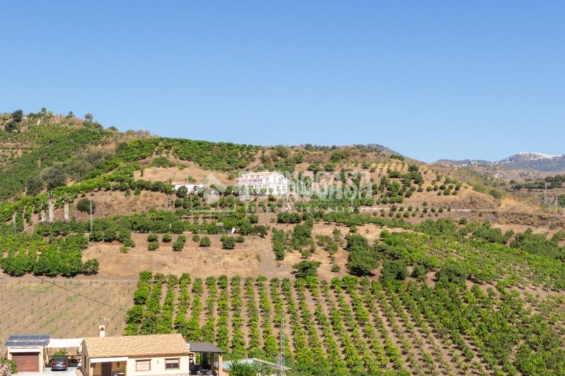 Foto 82ef1512-bd08-49bc-95a6-0048407e589b. Finca rústica a Norte - Barrio del Pilar - El Reñidero Vélez - Málaga