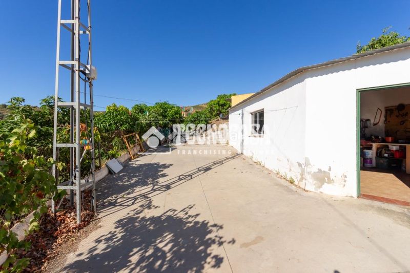 Foto 913a07ba-d3ae-428a-9165-194aac1792be. Finca rústica a Norte - Barrio del Pilar - El Reñidero Vélez - Málaga