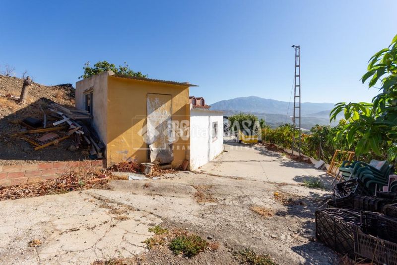 Foto a1d59e8b-f6a0-4cef-87b7-b41ed3068f85. Finca rústica a Norte - Barrio del Pilar - El Reñidero Vélez - Málaga