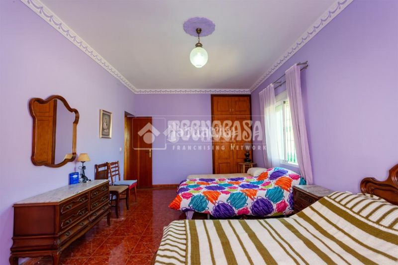 Foto ac4912e6-e5be-4dbc-8e4a-a20b1fa91a04. Finca rústica a Norte - Barrio del Pilar - El Reñidero Vélez - Málaga