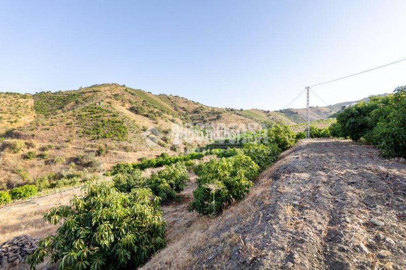 Foto b9b3e6c0-5c1f-40f0-b15c-f3033fbd15ed. Finca rústica a Norte - Barrio del Pilar - El Reñidero Vélez - Málaga