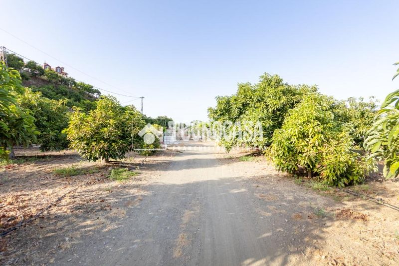 Foto d9825229-f10f-4f05-98f5-72c361eb57f5. Finca rústica a Norte - Barrio del Pilar - El Reñidero Vélez - Málaga