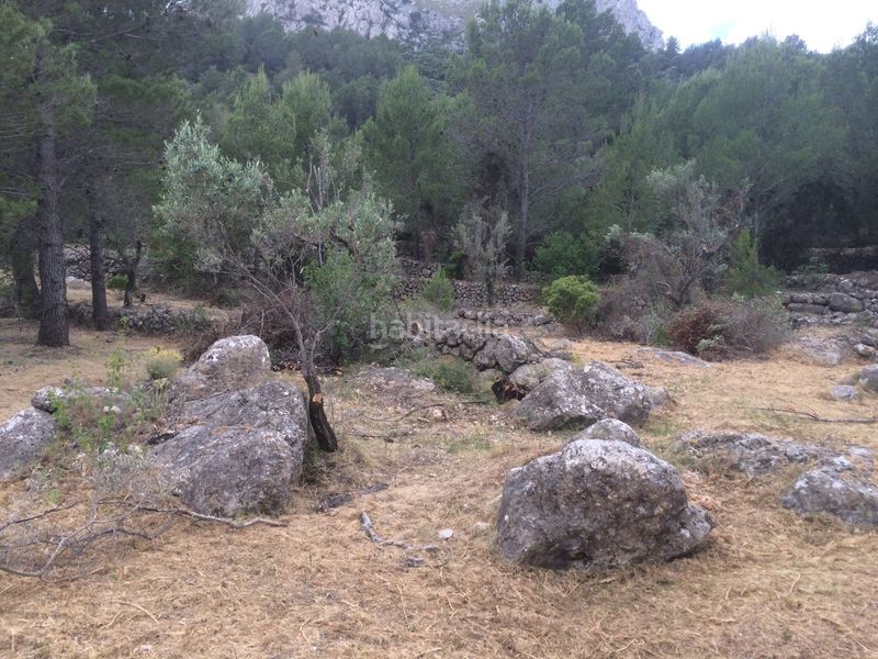 Foto 104641ac-09a4-4484-961a-b708ca275bed. Terreny residencial a Vall de Laguart