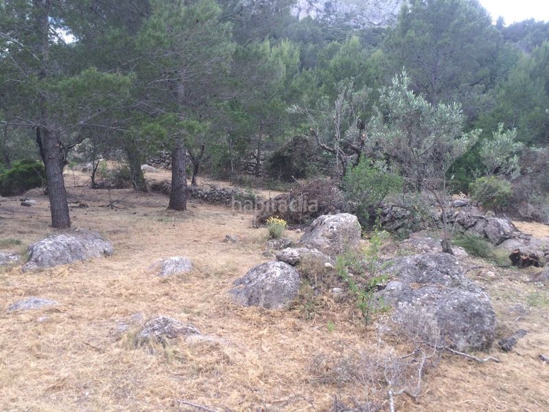 Foto 788c93c0-e137-4622-bf02-9b94b3dd9b61. Terreny residencial a Vall de Laguart