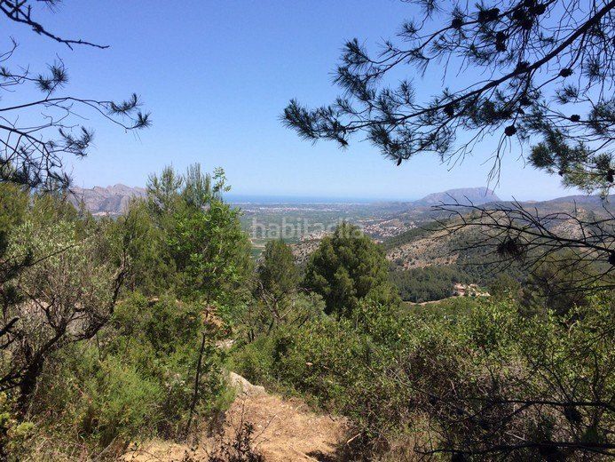 Foto 879a13f8-b99f-418a-afaa-5bdf40cd42e0. Terreny residencial a Vall de Laguart