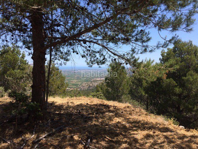 Foto a1b25b07-f73e-4faa-9160-bf97f6052477. Terreny residencial a Vall de Laguart