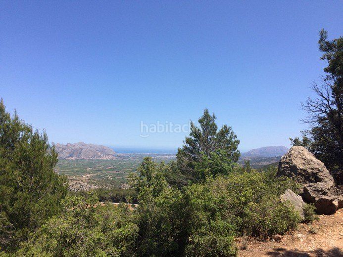 Foto a1d1a3d9-85f5-46c8-a13b-6b3d8c4877b1. Terreny residencial a Vall de Laguart