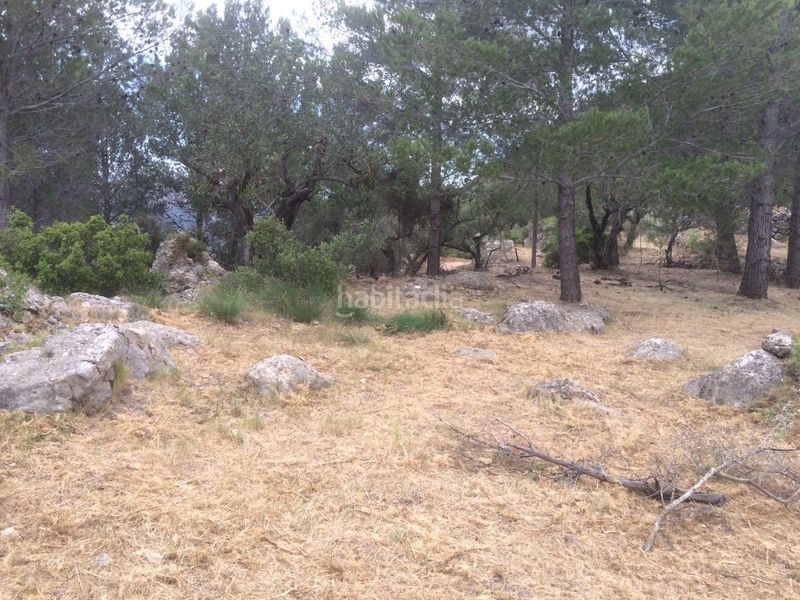 Foto e4dba7c3-a68a-4cfc-a008-cba6dfd13781. Terreny residencial a Vall de Laguart
