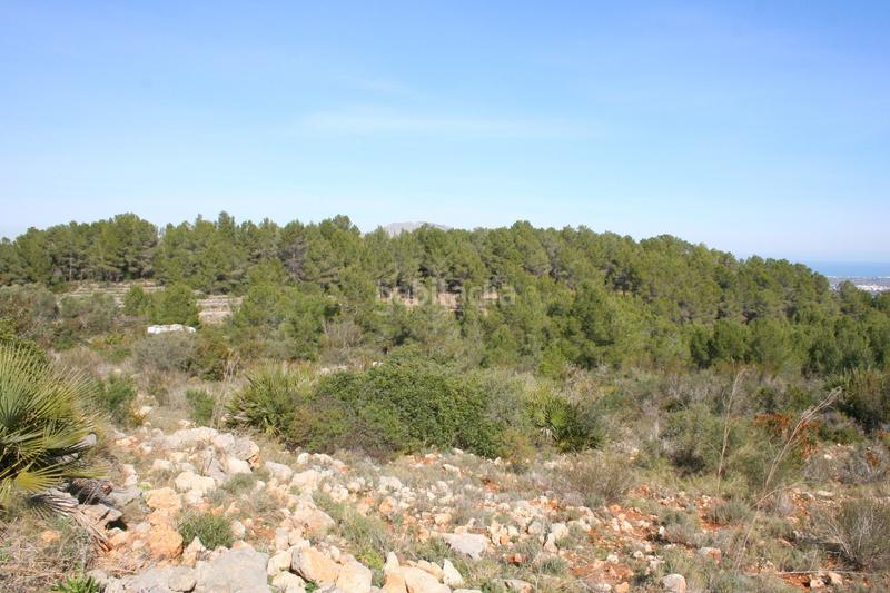Foto 50f4475a-f95f-419e-b750-bad254e53cc3. Terreno residenziale in Benidoleig
