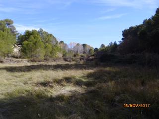 Terreny residencial a Castelló de Rugat