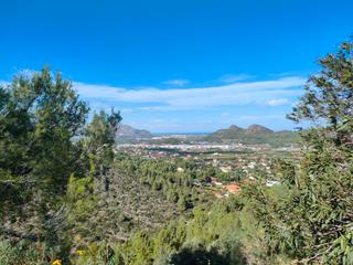 Terreno residenziale in Pedreguer