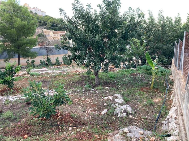 Foto c899194b-d914-4933-b9d2-a2a0916df966. Casale in Pedreguer