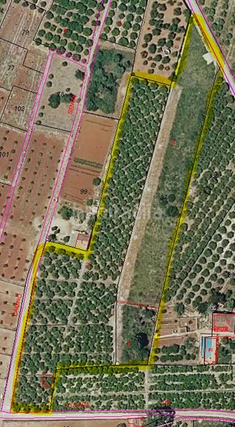 Foto 4128b232-afc4-4b40-943b-e80b2d2d67aa. Terreny residencial a Centro Pedreguer