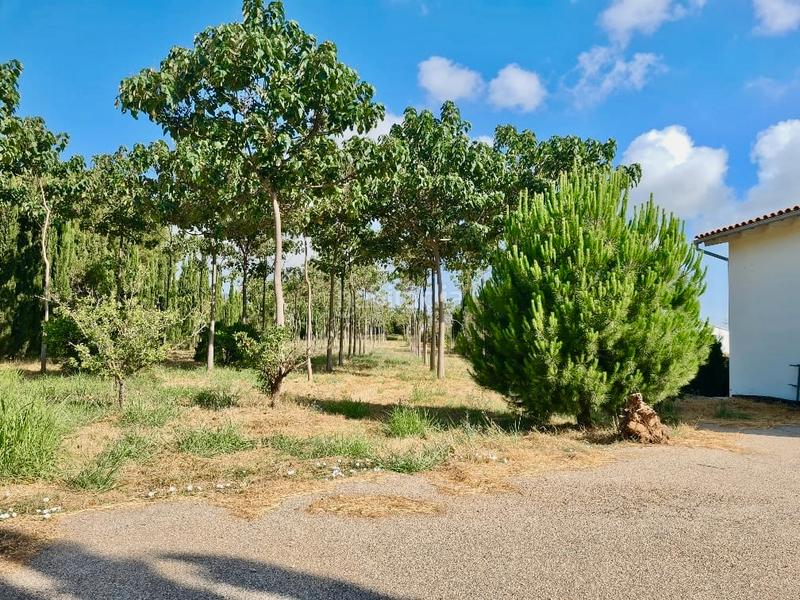 Foto bd39dfd4-a729-4452-8e14-be0ea8b50980. Casale con riscaldamento parcheggio in Pedreguer