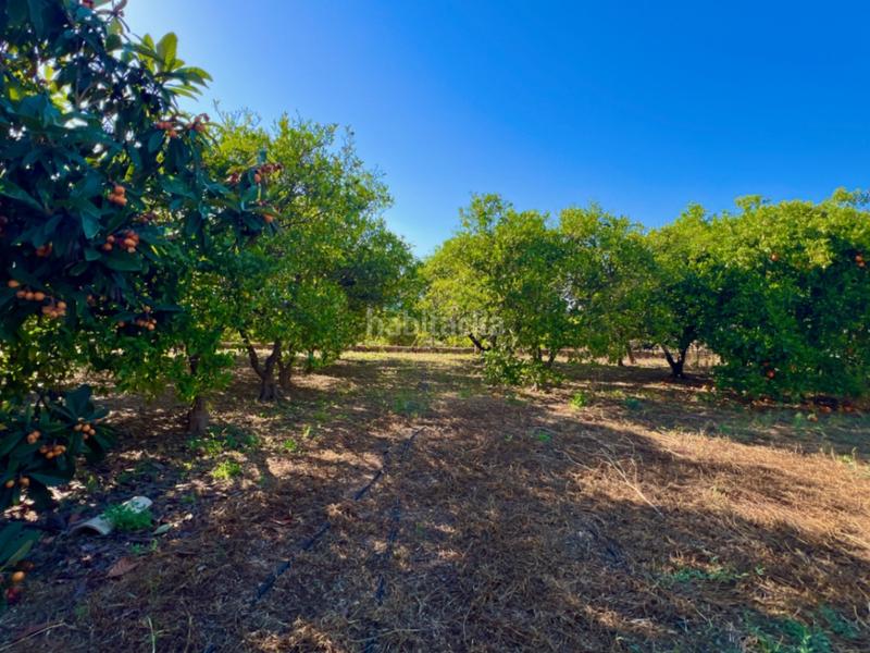 Foto 106bf584-fccc-4b7b-bcd8-1f7533c91631. Casale con parcheggio in Pedreguer