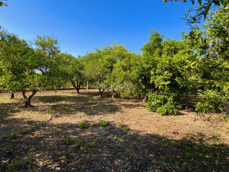 Foto 548d74f8-20e7-4aa4-8ca2-8a10a7e95931. Masia amb aparcament a Pedreguer