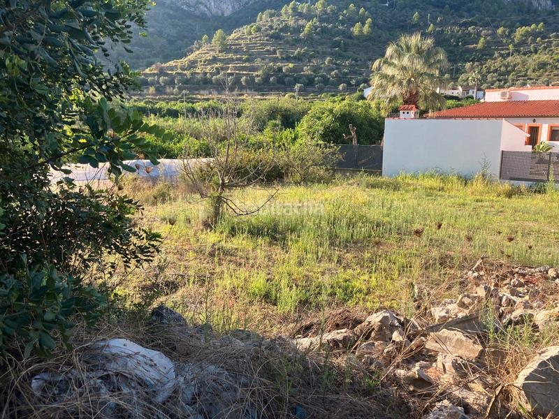 Foto a86c3ba4-647c-4d50-8203-0599eb3ce611. Residential plot in Alcalalí