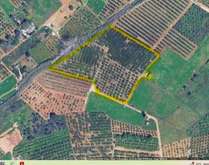 Residential Plot in Centro