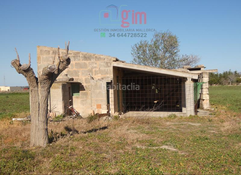 Foto 1154ac33-73a7-4ec8-8f32-5db560bfbe1d. Terreny residencial a Petra