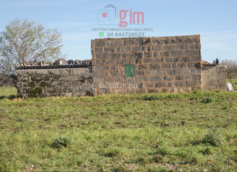 Foto 1fdedee6-4f5e-47cc-a5b4-4b90a5d3283a. Terreny residencial a Petra