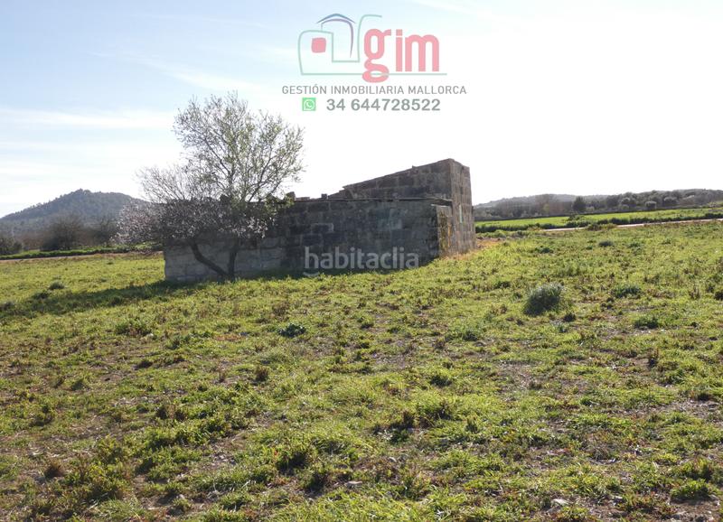 Foto 209e8f1d-f8c1-4012-a44e-0ca2a2bc9d8a. Terreny residencial a Petra