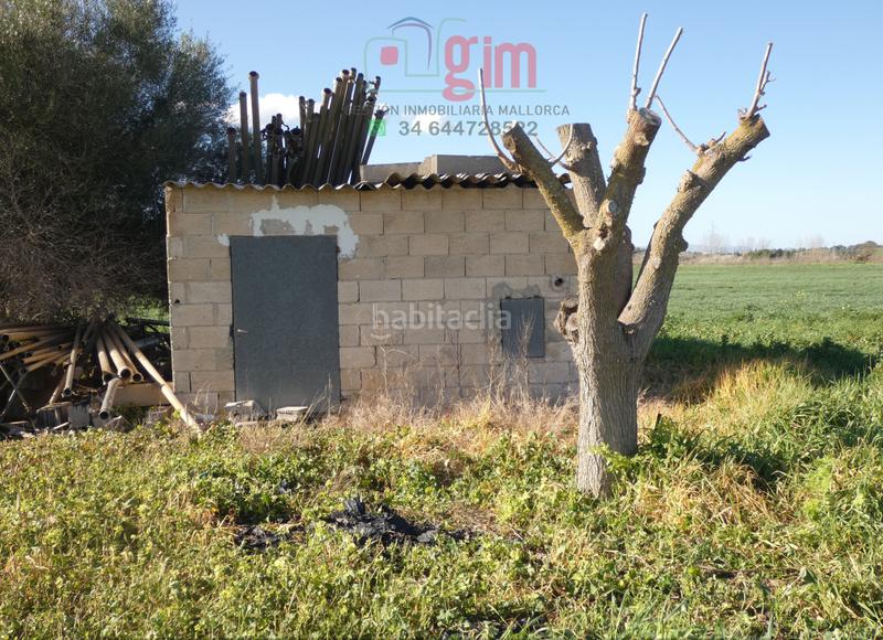 Foto 2e41b474-2abc-4523-a1fb-736fbbd933ea. Terreny residencial a Petra