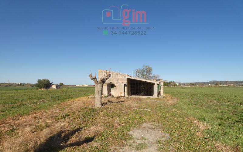 Foto 452b9266-dafd-4372-bb74-f348e78d73ae. Terreny residencial a Petra