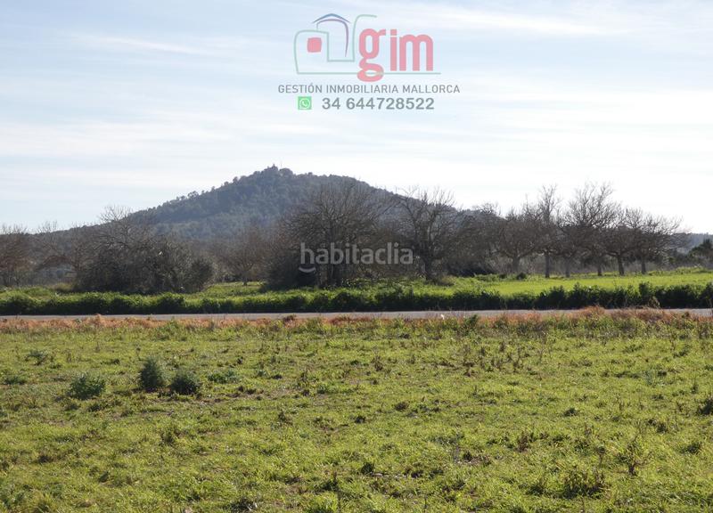 Foto 60d86fe2-a024-4b06-9559-5af9fd788602. Terreny residencial a Petra